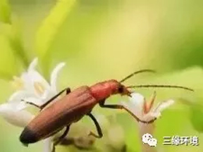 ÷rxxh(hun)oĽ