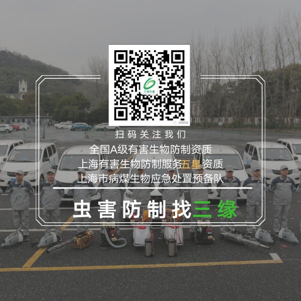 e8b911f71727add9d824c1d84e5fe36.jpg