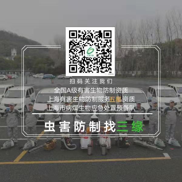 78ef7a319b597885cca66e51e857687.jpg